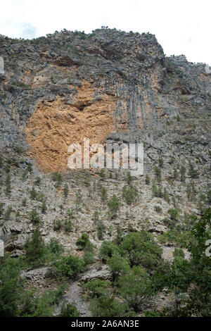 Plants that grow naturally on rocky cliffs in Antalya Stock Photo