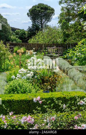 France, Maine et Loire, Angers, Chateau d’Angers, Angers castle, on the ramparts, the Hanging garden composed of geometric flowerbed, planted with med Stock Photo