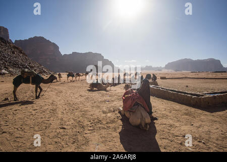 Camels in a beautiful day at the Jordanian desert of Wadi Rum. wide dessert with an amazing mountains and sand dunes. Stock Photo