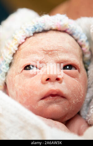 A young baby girl is born premature weighing just 4lbs, pictured here less than 5 minutes old Stock Photo