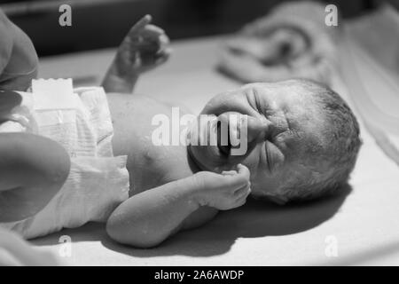 A young baby girl is born premature weighing just 4lbs, pictured here less than 5 minutes old Stock Photo