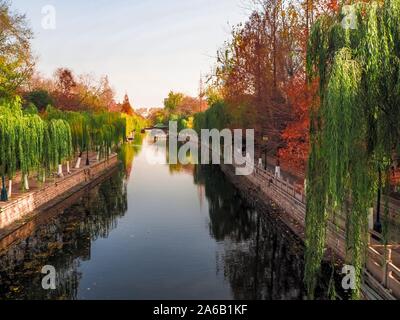 Colorful autumn trees along the canal in Huancheng Park in the city center of Jinan, Shandong province Stock Photo