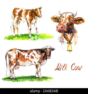 Red cows set, bull-calf standing on green meadow, side view, portrat with bell, hand painted watercolor illustration design element Stock Photo