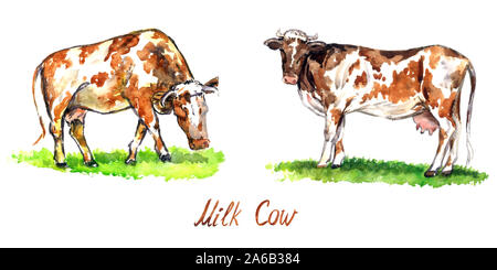 Red cows set grazing and standing on green meadow, side view hand painted watercolor illustration design element for invitation, card, print, posters Stock Photo