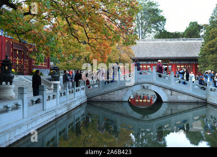 Beijing, China. 25th Oct, 2019. Tourists enjoy red leaves at Xiangshan Park in Beijing, capital of China, Oct. 25, 2019. Credit: Chen Zhonghao/Xinhua/Alamy Live News Stock Photo