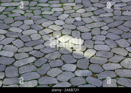 Round and oval concrete stones on walkway with grass between them, walkway with round grey stones Stock Photo