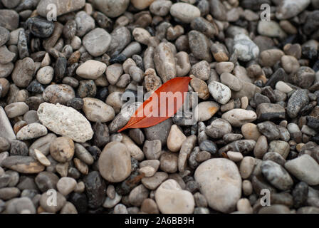 Orange leaf, found among gray the stones, in autumn Stock Photo