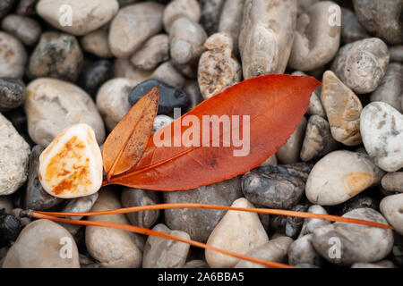 Details of orange leaves, found among the stones of the beach, in autumn Stock Photo