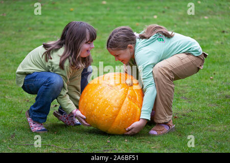 two little girls are trying to lift a very big pumpkin Stock Photo