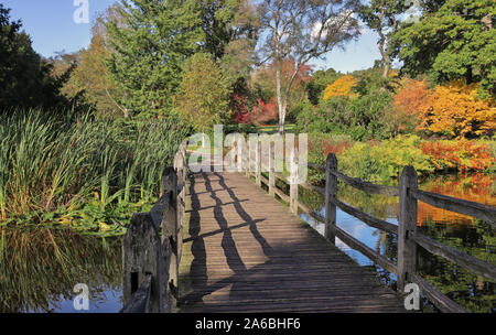 wooden footbridge crossing a tranquil pond in an English landscape garden in Autumn Stock Photo