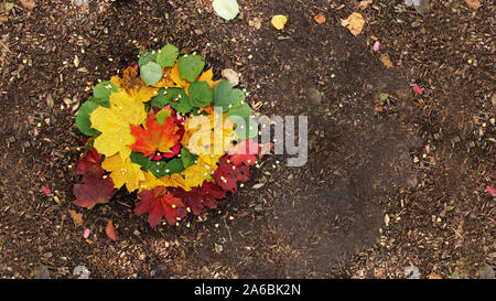 Local kids did a design in the forrest with colored leaves Stock Photo