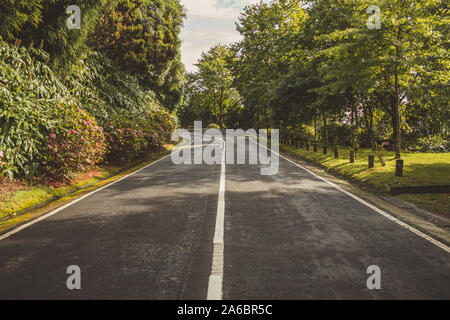Empty road is leading through beautiful landscape on the island of Sao Miguel, Azores, Portugal Stock Photo