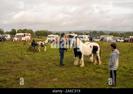 Stow Gypsy Horse Fair, Stow on the Wold, Cotswolds, Glouctershire, England, UK Stock Photo