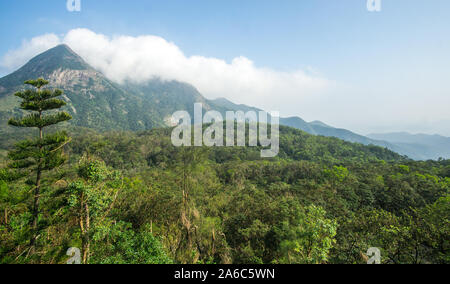 Panoramic view of the mountains and the forest around the Big Buddha in Lantau Island , Hong Kong .  Its an amazing short escape from the crowded cit Stock Photo