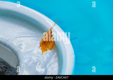 View to the surface of a swimming pool and to a skimmer into which the blue water flows in waves. At the edge of the swimming pool you can see a singl Stock Photo