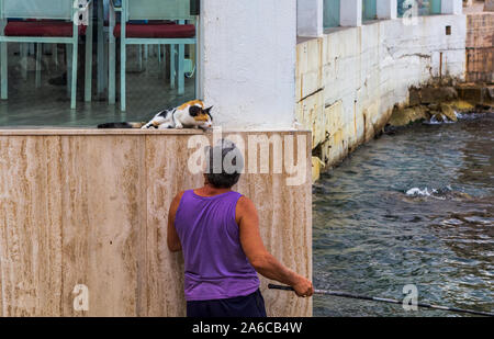 Maltese fisherman patting stray calico cat while catching the fish with rod in another hand. Friendship of man and cat. Man caring for street cats. Stock Photo
