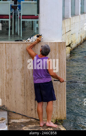Maltese fisherman patting stray calico cat while catching the fish with rod in another hand. Man caring for street cats. Stock Photo