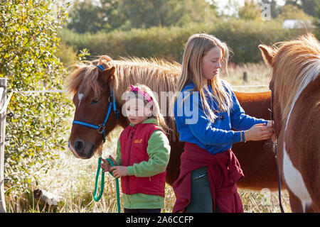 Two young girls are haltering their ponies. Stock Photo