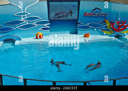 ZooMarine water theme park Dolphin show and experience. Algarve Portugal. Stock Photo