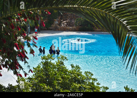 ZooMarine water theme park. Visitors take part in the dolphin emotions swim with dolphins experience. Algarve Portugal. Stock Photo