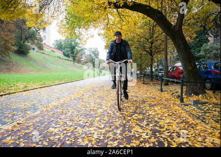 a person riding a bike on a leaf covered bike path in fall/ autumn Stock Photo