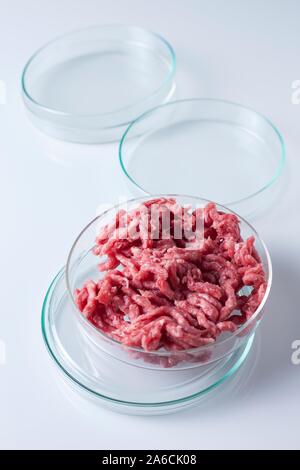 Conceptual image of cultured meat grown in the laboratory. Stock Photo