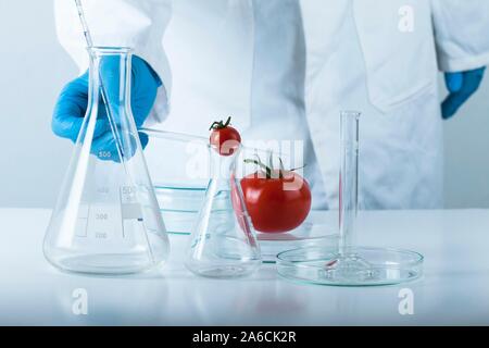 Conceptual image of genetic engineering and modification of food. Stock Photo