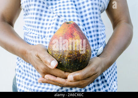 Holding A Pear In Hands Stock Photo