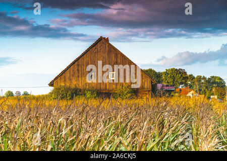 Ilawa Lakeland (Poland).  Small alone cottage in under dramatic sky Stock Photo