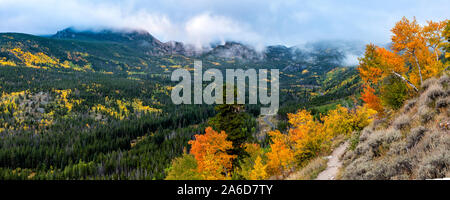 Low clouds hang in the mountains above the fall color on the Bierstadt Moraine in Rocky Mountain National Park, Colorado Stock Photo