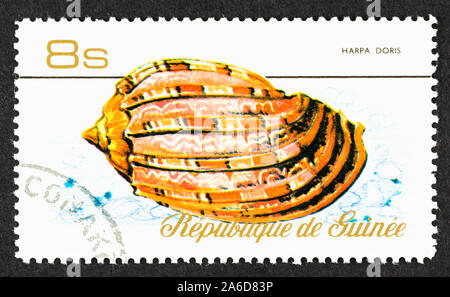 Close up of Guinea postage stamp, featuring Harpa doris, a rose harp sea snail. Scott # 734. Stock Photo