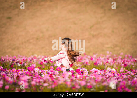 Little girl playing and running on a cosmos flower field. Stock Photo