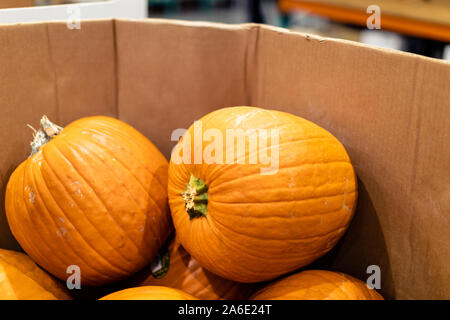 Tigard, Oregon - Oct 25, 2019 : Autumn pumpkins for sale at Costco Wholesale store Stock Photo