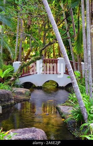 Phuket reception garden area pathway views at Thailand resort, stock photo with no people, near Bangkok. Asia. Stock Photo