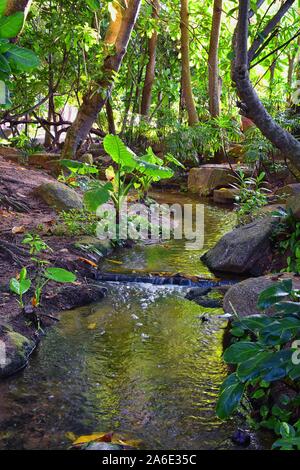 Phuket reception garden area pathway views at Thailand resort, stock photo with no people, near Bangkok. Asia. Stock Photo