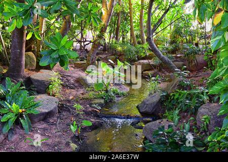 Phuket reception garden area pathway views at Thailand resort, stock photo with no people, near Bangkok. Asia. Stock Photo