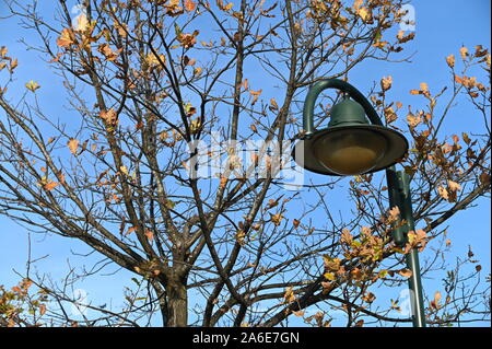 Herbst am österreichischen Bodenseeufer Stock Photo
