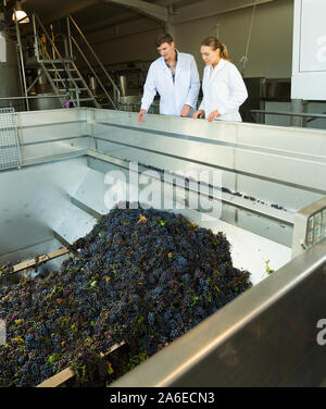 Two manufacturing engineers of winery controlling process of crushing and pressing of ripe grapes in crusher machine Stock Photo