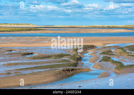 Views of mudflat at low tide from Norfolk Coast path National Trail near Burnham Overy Staithe, Scolt Head Island to rear, East Anglia, England, UK. Stock Photo