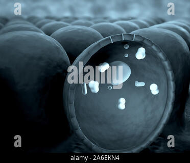 mechanism of action of hormones, Human Insulin, 3D illustration of structure of the molecule, mitochondria and proteins inside the cell Stock Photo