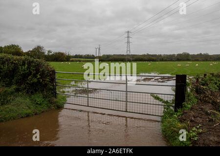 Cardiff, Wales, Uk. 26th Oct, 2019. Peterston-Super-Ely, Wales, UK, October 26th 2019. Flooded fields near Cardiff as heavy rain falls across much of Wales, with a Met Office amber warning in place for parts of south-east and south-west Wales. Credit: Mark Hawkins/Alamy Live News Stock Photo