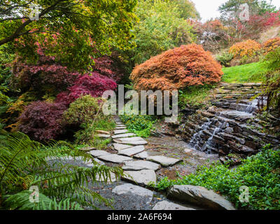 Stepping stones lead past a small cascade in the Acer glade at The Garden House, Buckland Monachorum, Devon, UK Stock Photo