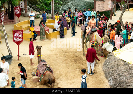 aerial shot of crowd of people lining up for a camel ride in a dusty pit with multiple camels standing, shot in Jaipur rajasthan Stock Photo