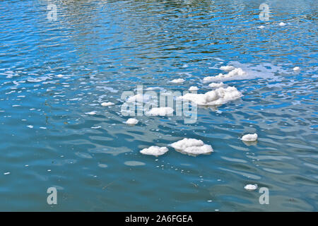 Pieces of foam pollution floating on top of the water where the river Brit enters the salt waters of West Bay harbour. Stock Photo