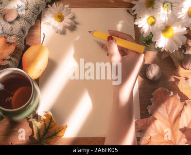 Top view of female hands holding a pencil and autumn dry leaves Mockup clipboard with a blank sheet of white paper. Creative template for inscribing y Stock Photo