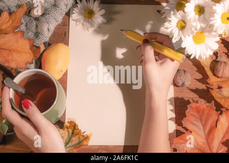 Top view of female hands holding a pencil and autumn dry leaves Mockup clipboard with a blank sheet of white paper. Creative template for inscribing y Stock Photo