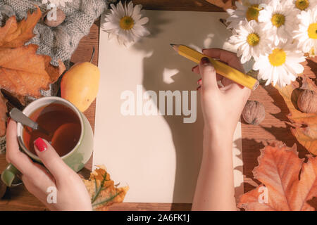 Top view of female hands holding a pencil and autumn dry leaves Mockup clipboard with a blank sheet of white paper. Creative template for inscribing y Stock Photo