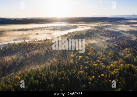 Isar in the Pupplinger Au at sunrise, Nature Reserve Isarauen, near Wolfratshausen, aerial view, Upper Bavaria, Bavaria, Germany Stock Photo