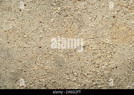 Extreme macro, white brick texture with rough surface. Top view Stock Photo