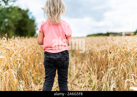 A cute little blonde girl walking through a cornfield, wheat field in the beautiful countryside Stock Photo